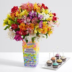 100 Blooms of Peruvian Lilies with 6 Birthday Brownie Pops