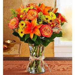 Large Fields of Europe for Fall Bouquet