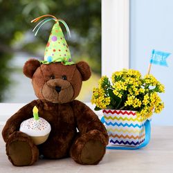 Happy Birthday Bear and Kalanchoe Plant