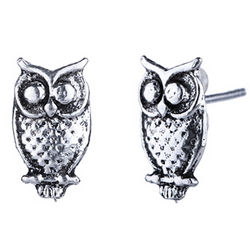 Owl Stud Earrings in Sterling Silver