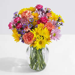 100 Blooms of Sunshine for Mom with Ginger Vase