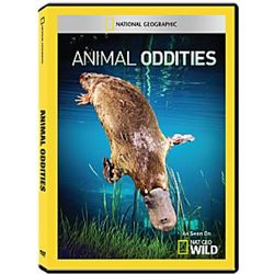 Animal Oddities DVD-R