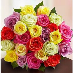 24 Assorted Roses Bouquet