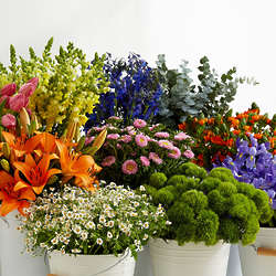 Farmer's Favorite Bouquet with Floral Print Vase & Chocolates