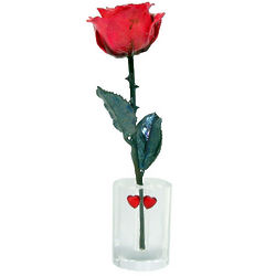 7th Anniversary Rose & Oval Vase
