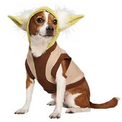 Star Wars Yoda Dog Hoodie