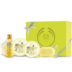 Moringa Bath and Body Premium Gift Selection