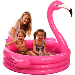 Pink Flamingo Swimming Pool