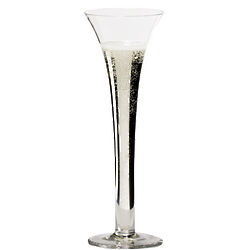 Riedel Sommeliers Individual Sparkling Wine Glass
