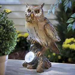 Solar Owl Spotlight