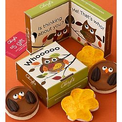 Fall Owl Cookie Cards 2-Pack