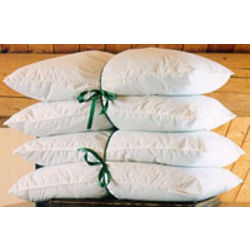 2 Trillium Polyester Queen Pillows