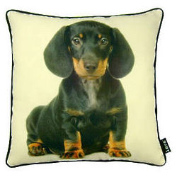 Dog Breeds Pillow