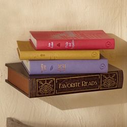 Favorite Reads Book Shelf