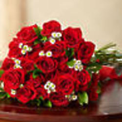12 Premium Long-Stem Red Roses