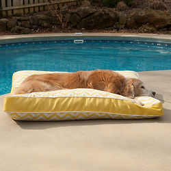 Small Pool & Patio Rectangle Dog Bed with Yellow Chevron Pattern