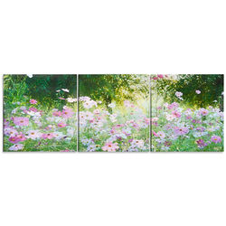 Field of Daisies Triptych Canvas Prints