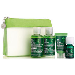 Tea Tree Skin Care Kit