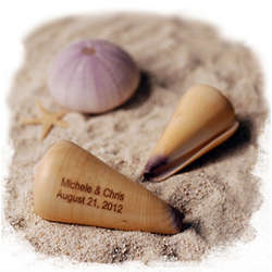 Personalized Virgo Cone Sea Shells