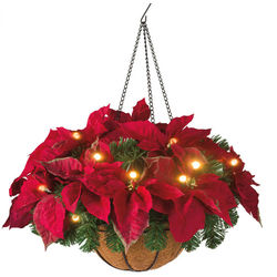 Cordless LED Poinsettia Hanging Basket