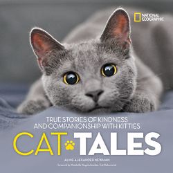 Cat Tales Book