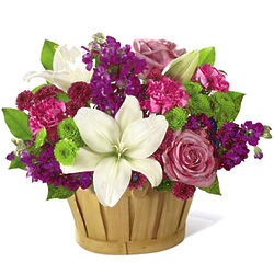 Fresh Focus Pink and Purple Deluxe Bouquet in Mini Basket