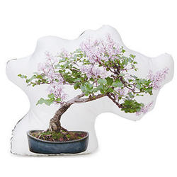 Lilac Bonsai Tree Pillow