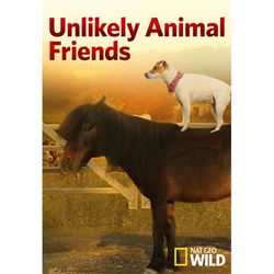 Unlikely Animal Friends Season 4 DVD