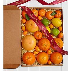 Simply Fresh Winter Citrus with Thank You Ribbon