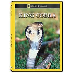 King Cobra DVD