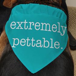 Pet Expressions Personalized Dog Bandana