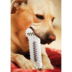 Dog Bone Tooth Brush