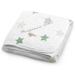 Baby's Up, Up and Away Classic Dream Blanket
