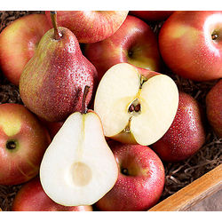 Fuji Apples & Red Sensation Pears