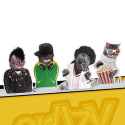 Crazy Cats Magnetic Bookmarks