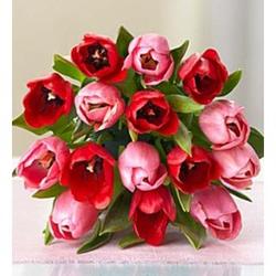 Sweetest Love Tulip Bouquet