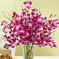 Purple Dendrobium Orchids Bouquet