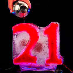 21st Birthday Ice Luge