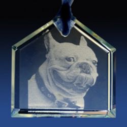 Laser Engraved Glass House Ornament