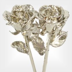 His and Her Platinum-Dipped Roses