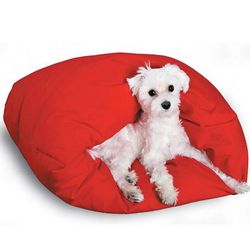 Snuggle Dog or Cat Pet Peek-A-Boo Bed