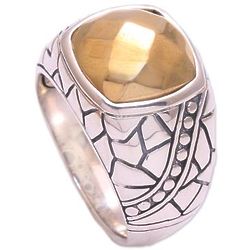 Stony Path Men's Sterling Silver and Brass Ring
