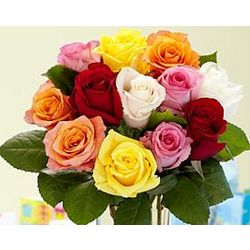 One Dozen Vibrant Birthday Roses