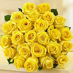 Bouquet of 2 Dozen Yellow Roses