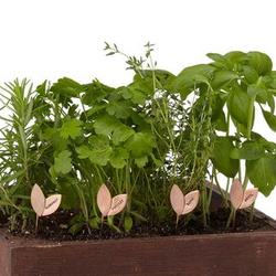 4 Silver and Copper Sprout Herb Markers