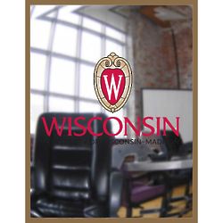 University of Wisconsin-Madison Wall Mirror