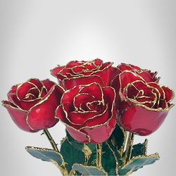 Six 11" Roses Trimmed in 24kt Gold