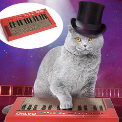Keyboard Cat Scratcher