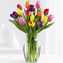 15 Multi-Colored Tulips Bouquet