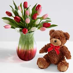 20 Sweetheart Tulips in Ruby Ombre Vase and Teddy Bear